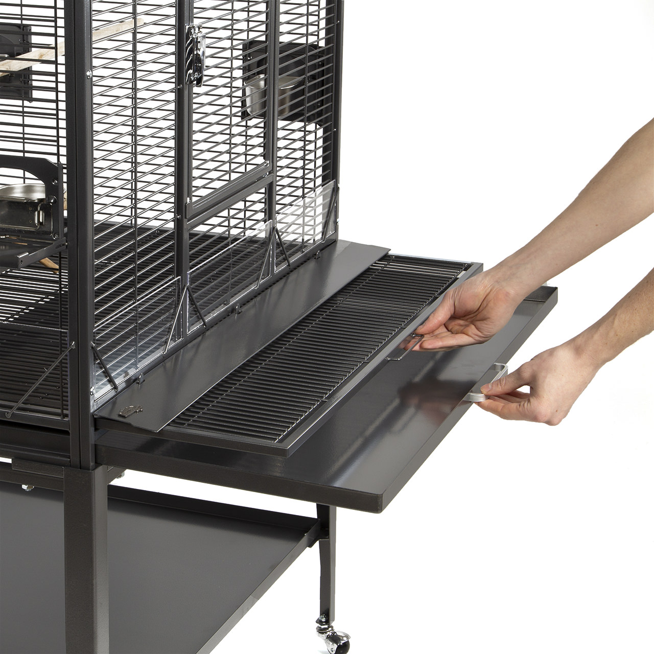 K35062-Vogelkaefig-Madeira-II-Antik-von-Montana-Cages-7