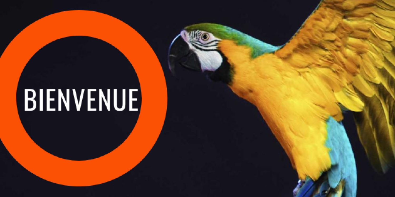 presentation_psittacofolie